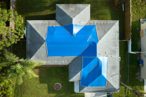 Best Steel Roofing  in Shaw Heights, CO