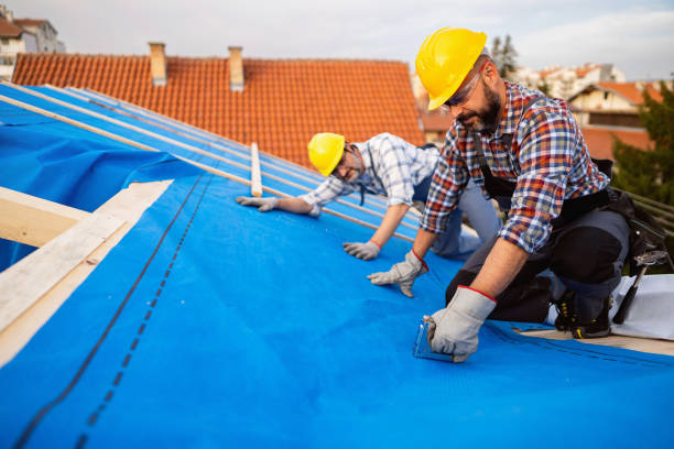 Professional Roofing Service in Shaw Heights, CO
