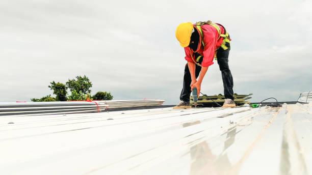 Best Flat Roofing  in Shaw Heights, CO